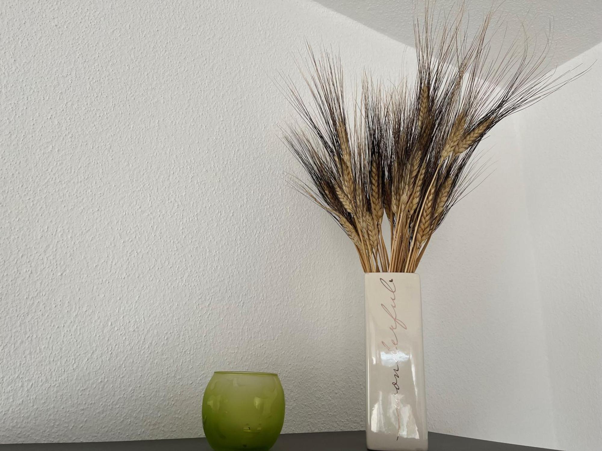 Apartament Haus Brenner *